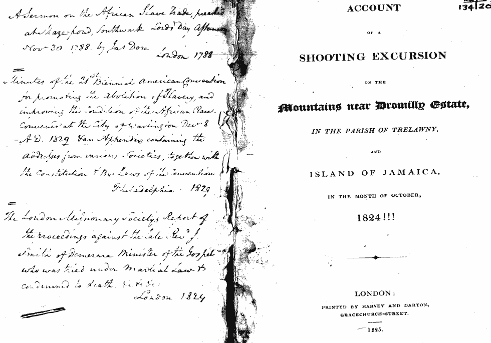 Thumbnail page 3