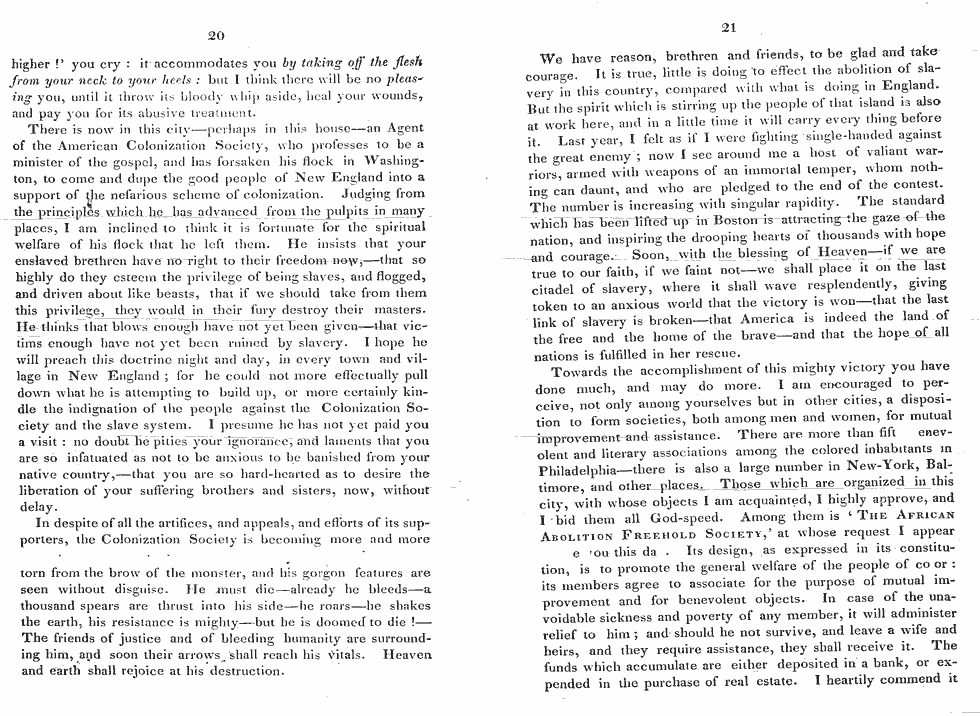 Thumbnail page 11