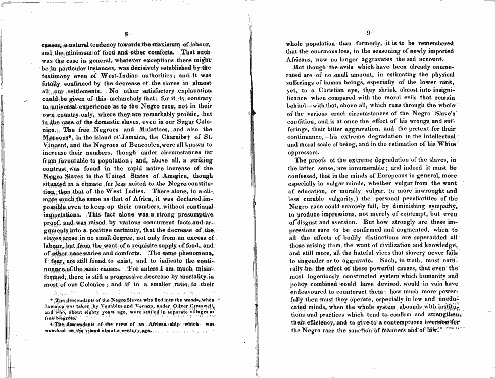 Thumbnail page 5