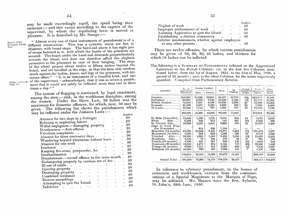 Thumbnail page 19