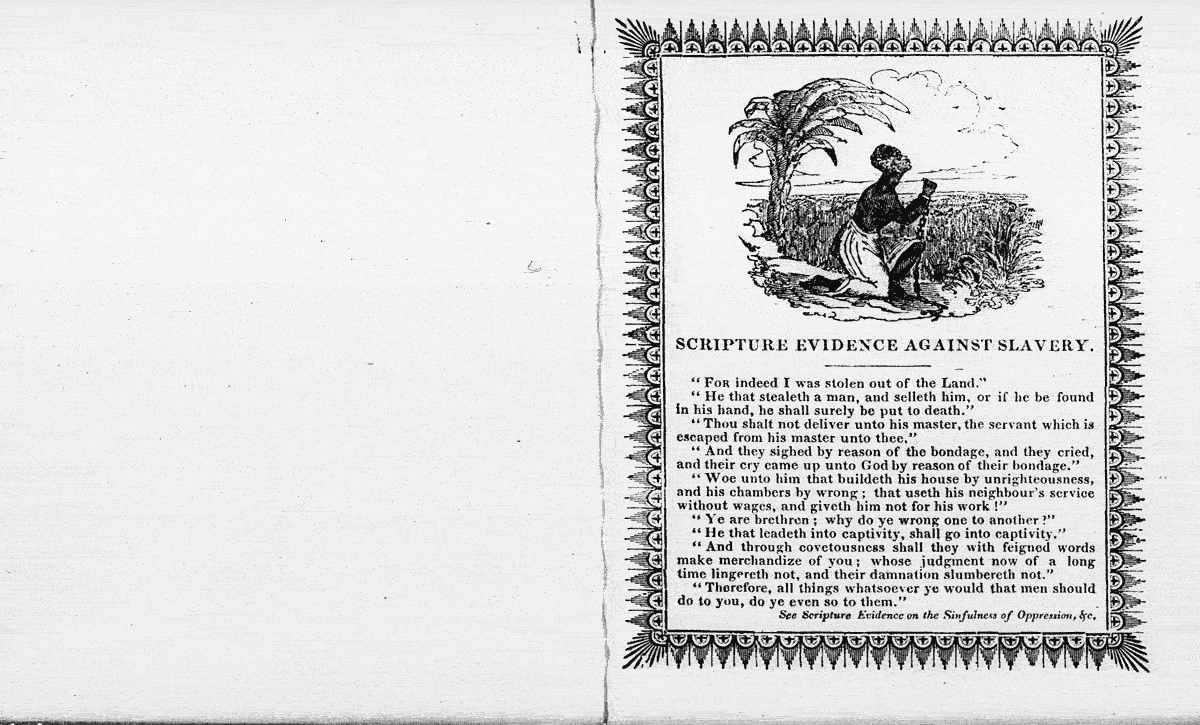 Thumbnail page 3