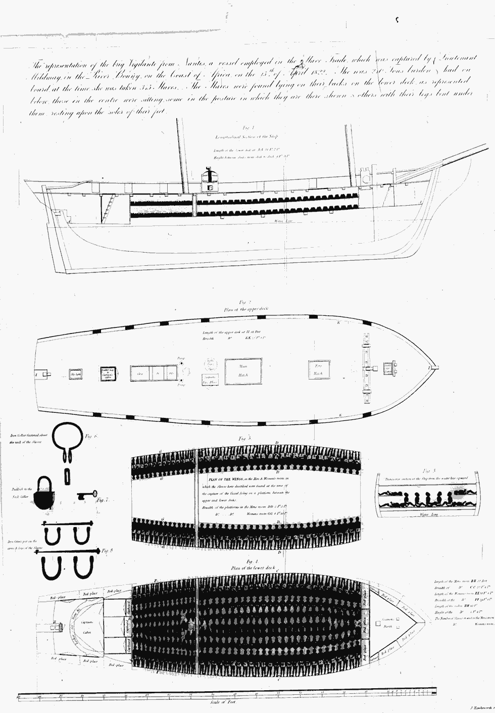 Thumbnail page 3