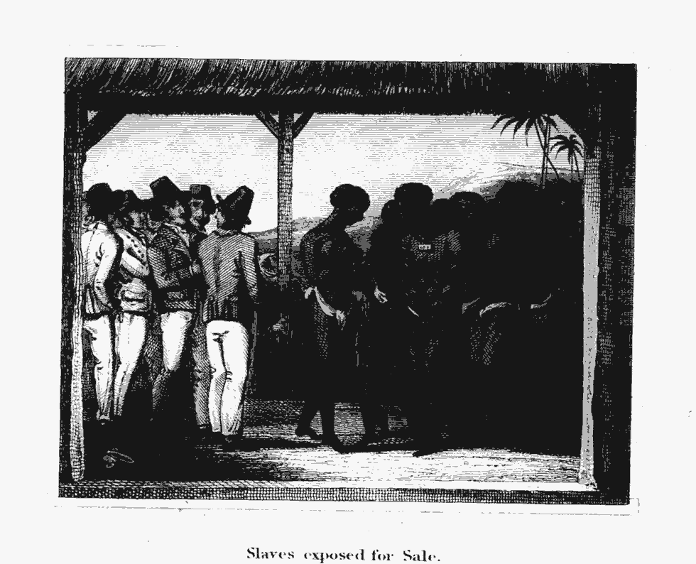 Scanned image of page