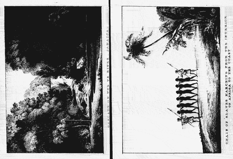 Thumbnail page 104