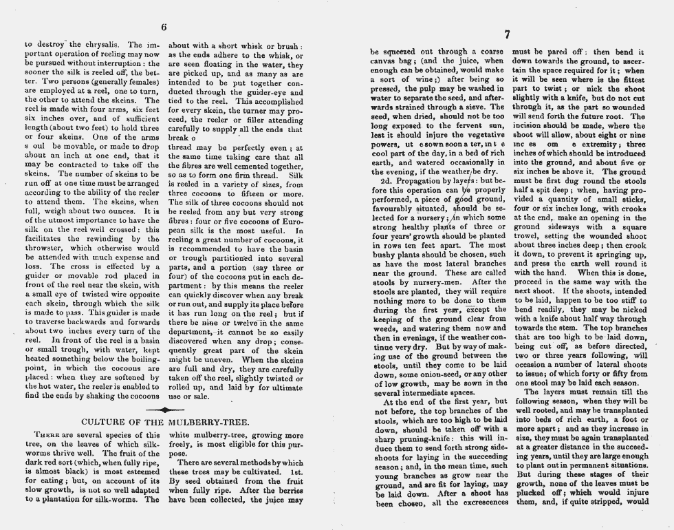 Thumbnail page 4