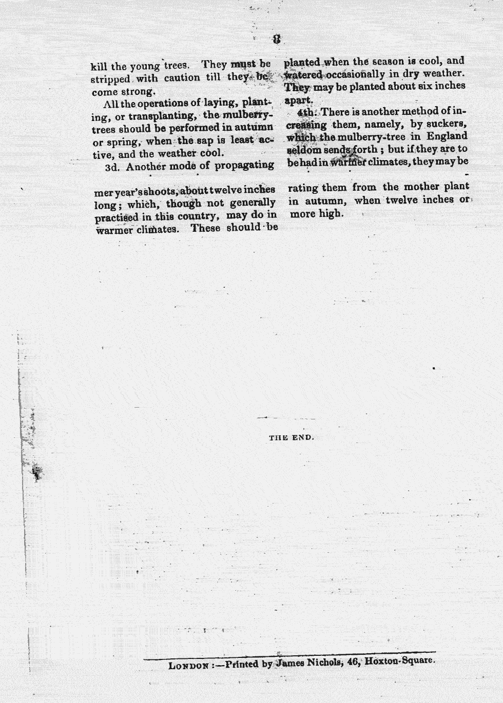 Thumbnail page 5
