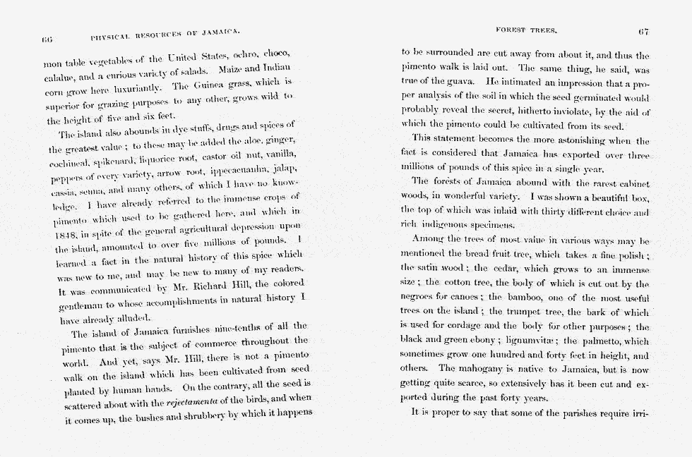 Thumbnail page 40