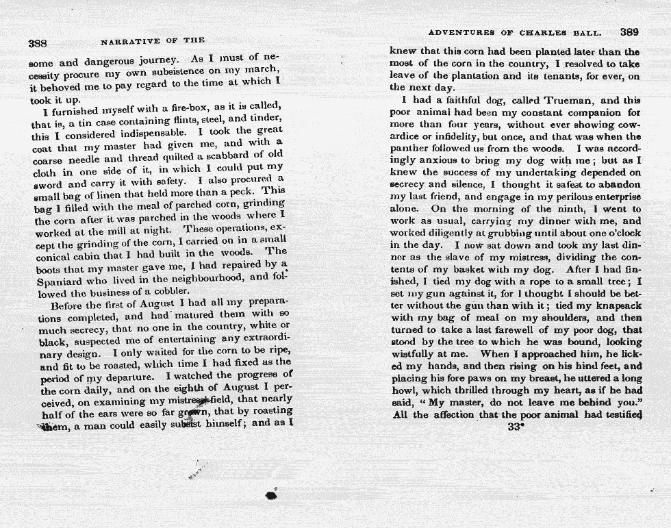 Thumbnail page 197