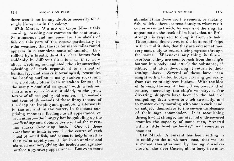 Thumbnail page 61