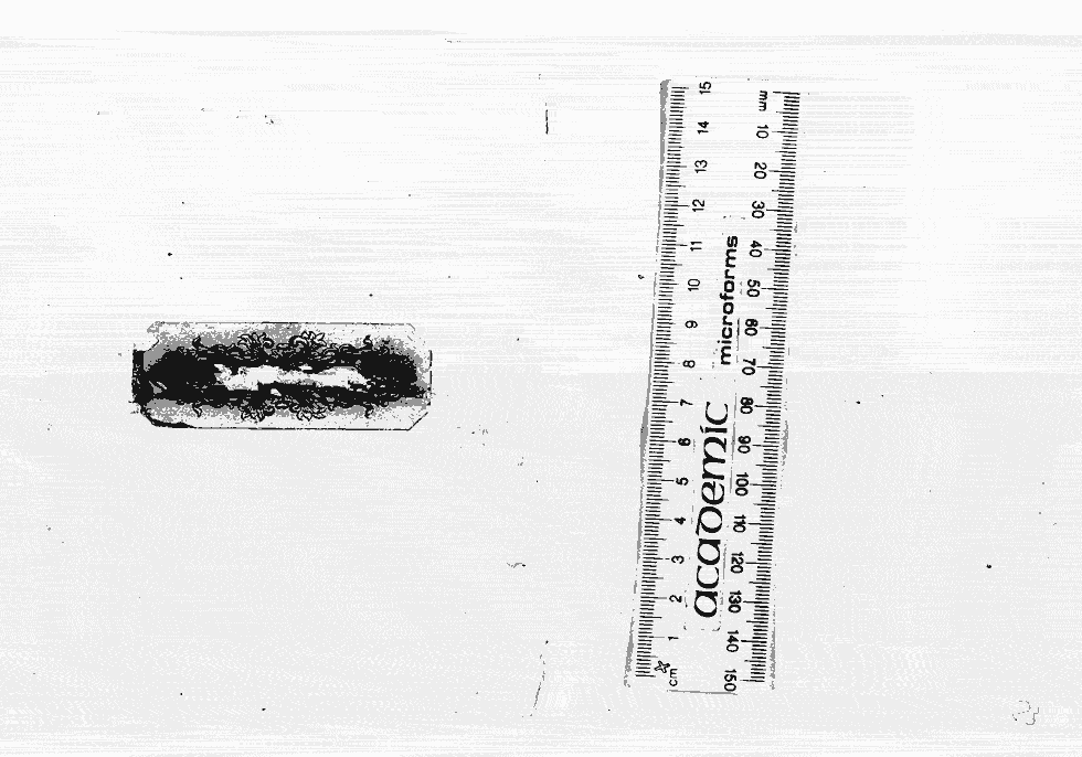 Scanned image of page