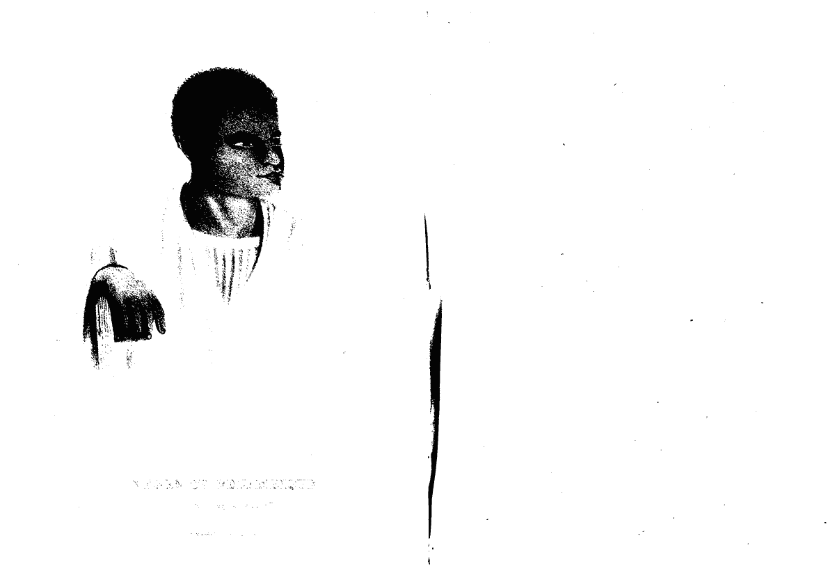 Thumbnail page 43