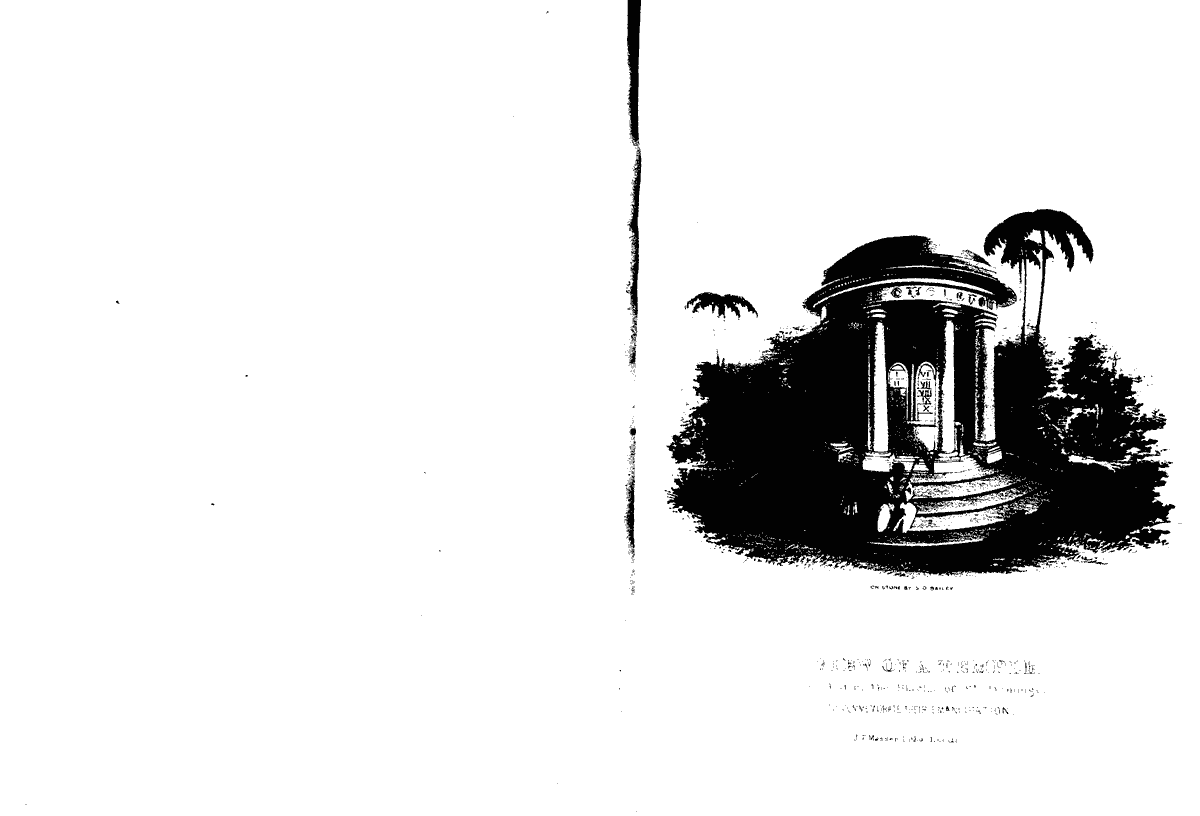 Thumbnail page 181